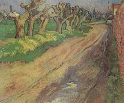 Vincent Van Gogh Pollard Willows (nn04) France oil painting artist